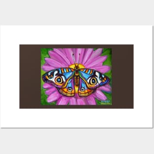 Butterfly and Painted Daisy Painting Posters and Art